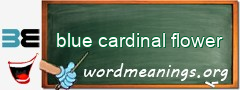 WordMeaning blackboard for blue cardinal flower
